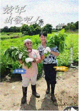 深夜食堂纪事综艺封面